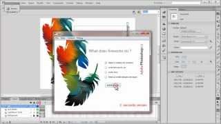 FlashTutorial- Easy XML based quiz builder