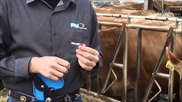 US Jersey - Allflex TSU Video