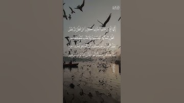 يا أيها الذين آمنوا اجتنبوا كثيراً من الظن إن بعض الظن إثم || سورة الحجرات || حالات واتس قرآن #fyp