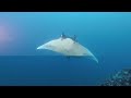 Paradise adventures cocos island trip may 2023