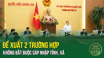 Đề xuất 2 trường hợp không bắt buộc sáp nhập tỉnh, xã