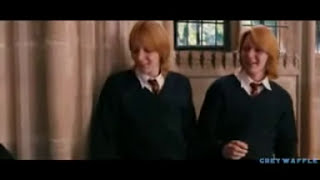 Fred and George Weasley: Il gatto e la volpe