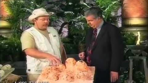 Creation in the 21st Century   Caught by the Flood 1 of 3 Sedimentary Fossils