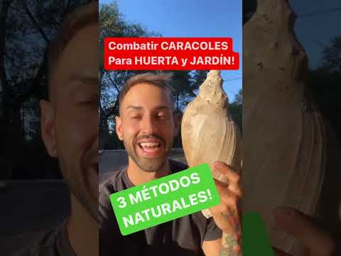 Video: 3 formas de eliminar las plagas en los jardines de hierbas