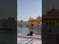 Golden temple | Happy Vaisakhi #yt #shortvideo #goldentemple #amritsar #peacefulplace #waheguru
