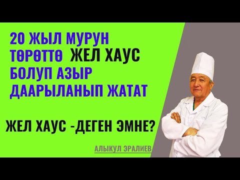 Video: Отоо официант деген эмне?