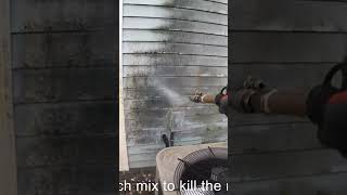 Celebrity Bleach removes MOLD! Profile