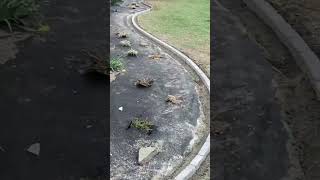 Landscape Edging that Lasts! 💪