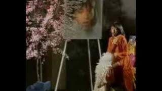 Merry andani-Biarkanlah