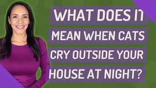 What does it mean when cats cry outside your house at night?