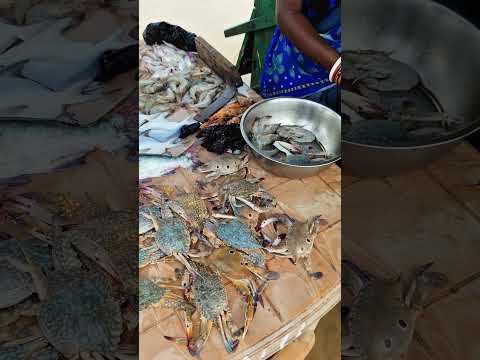Digha Udaipur Beach এ 200 টাকায় Sea Food  কাঁকড়া , মাছ  ইত্যাদি | #shorts#digha