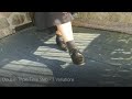 Tap Lesson - Double-Triple Time Step - 3 Variations
