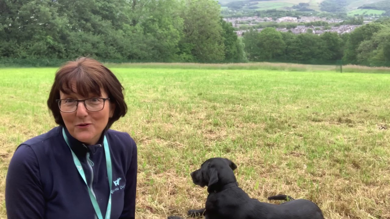 Day 88 - Recall - YouTube