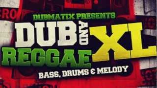 Dub Reggae Samples and Loops - Loopmasters Dub Reggae XL
