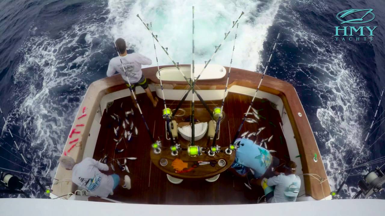 Marlin and Sailfish Video - The Abaco Beach Blue Marlin Tournament