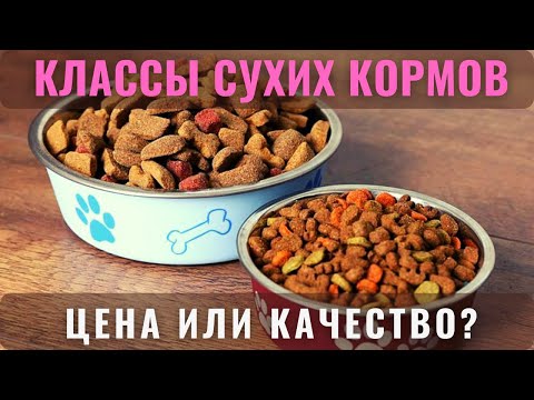 📝🐕🐾 Классы сухих кормов для собак. Цена или качество? Как разобраться?