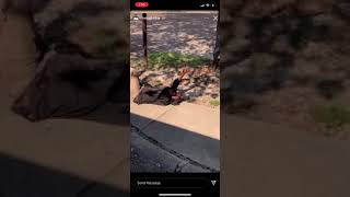 Badkidjay throwing trash at homeless person what would funnymike say about this? 😳🤦🏽‍♀️