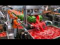Inside the Watermelon Juice Factory | From Harvest to Supermarket (Full Process)