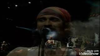 Iwan Fals Isi Rimba Tak Berpijak Lagi