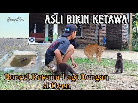 Boncel Kagetin Kucing Dari Belakang Alhasil Boncel Sendiri Yang Takut# ...