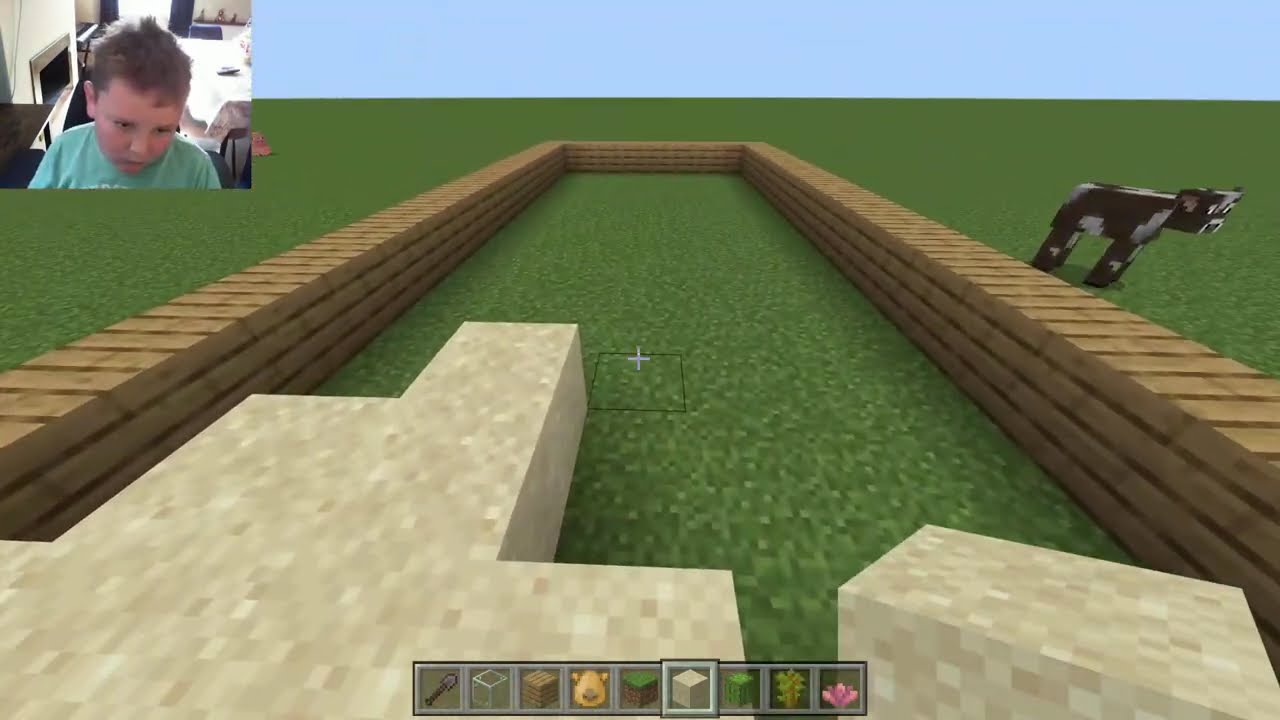 Theme Park and Zoo | Part 1 | Minecraft series | Meet the camels