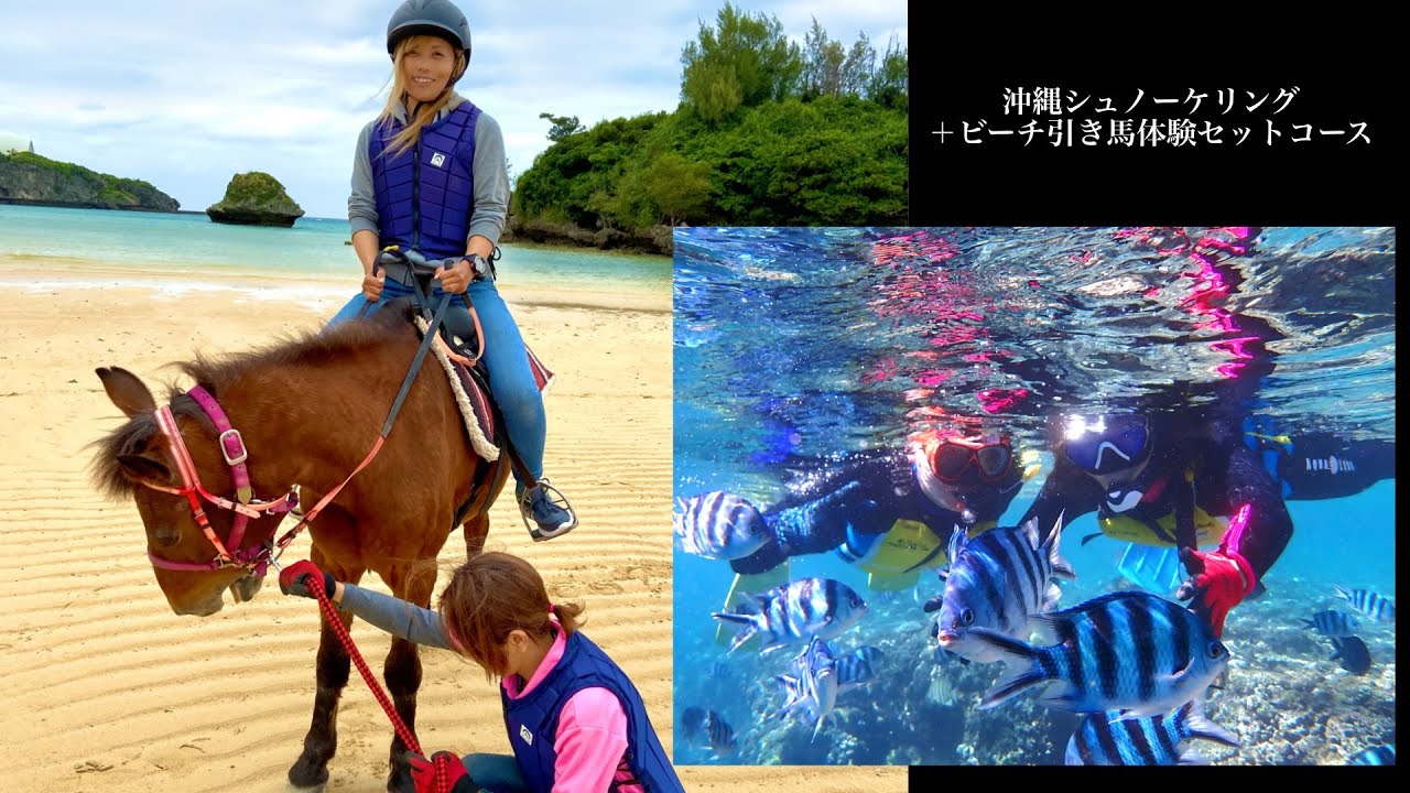 沖縄シュノーケリング+ビーチ引馬 乗馬体験セットコース | 沖縄 恩納村