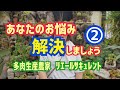 【多肉植物】あなたのお悩み解決します②2026年8月11日