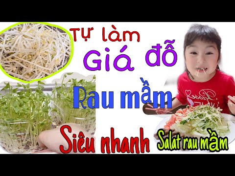 Tự làm giá đỗ, rau mầm mập ú, xanh mướt, siêu nhanh, siêu dễ ☘️ Tự làm giá đỗ, rau mầm mập ú, xanh mướt, siêu nhanh, siêu dễ ☘️