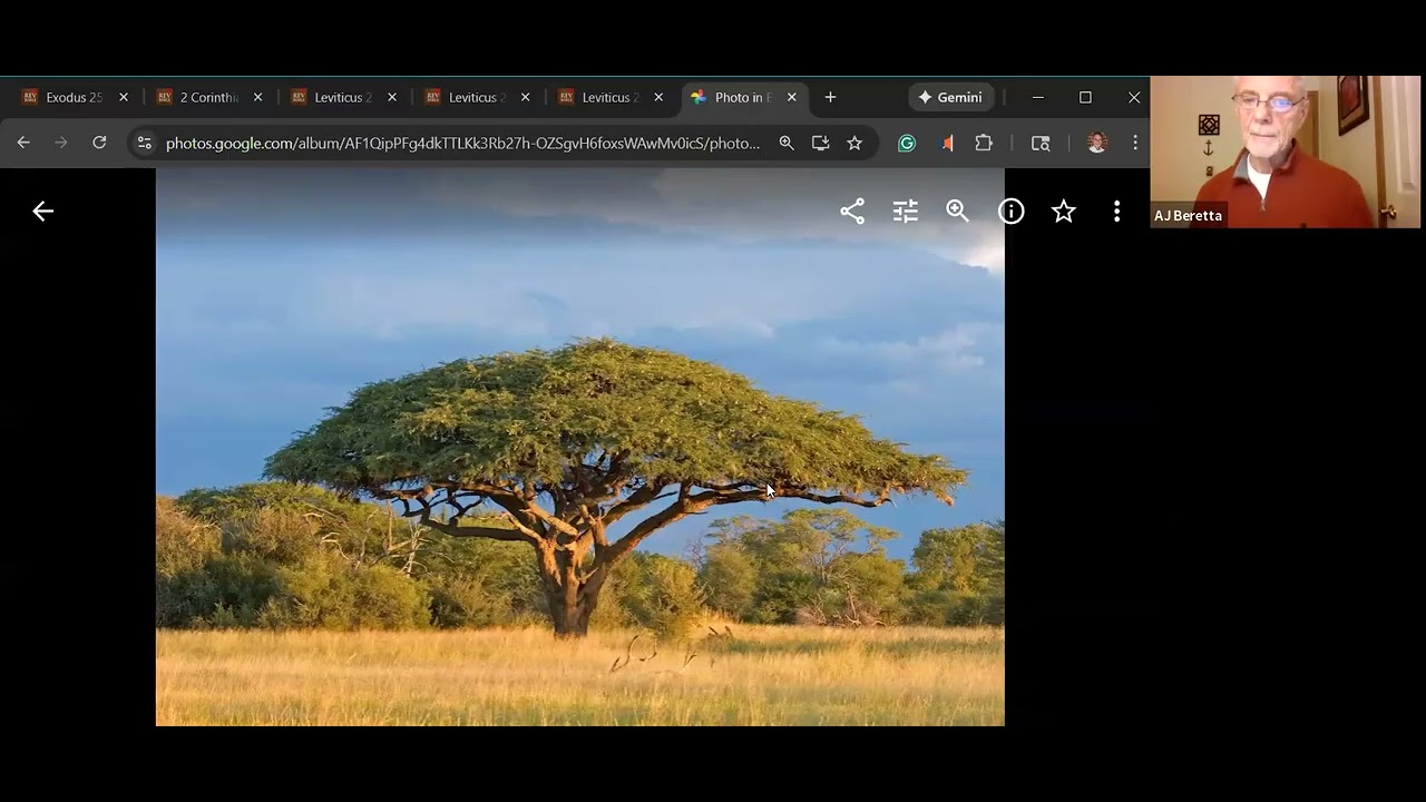 Exodus 25 AJ's Teaching Old Testament