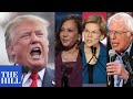 President Trump MOCKS Kamala Harris, Bernie Sanders, Elizabeth Warren
