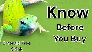 What to know about Emerald Tree Skink before you buy!