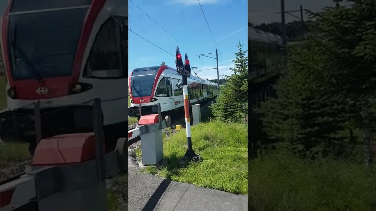 Ein SBB RABe 520 Seetal GTW zwischen Eschenbach und Waldibrücke. (Sorry, mal wieder Hochformatvideo)