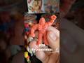 How to tell a bootleg from the *real thing* - Every Single M.U.S.C.L.E. #16 Neptuneman (B)