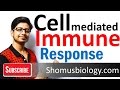Cell mediated immunity | innate immune response