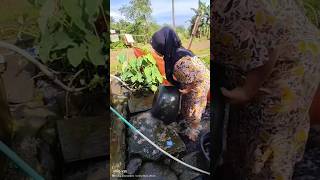 aktivitas di kampung halaman