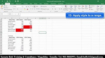 Teach Yourself Visually Excel 2016 #07, Af-Somali