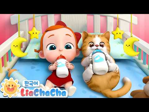 우리 고양이 코코🐾 | 동물동요 | 인기동요 | 리아차차 LiaChaCha