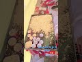 sarswati puja in bihar