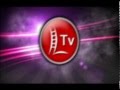 L tv logo 01