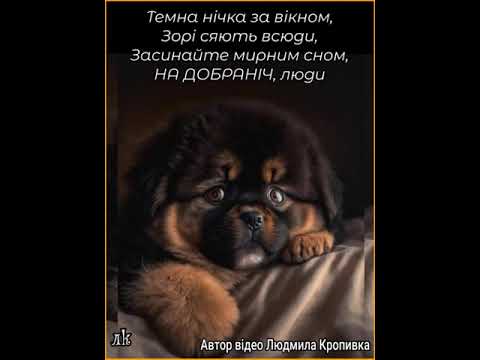 НА ДОБРАНІЧ. МИРНИХ, СОЛОДКИХ І ЧАРІВНИХ СНІВ, БАЖАЮ ВАМ, ДРУЗІ. Музика Карена Саркисяна