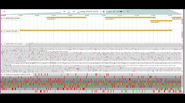 How to visualize genome annotations using jbrowse episode 2