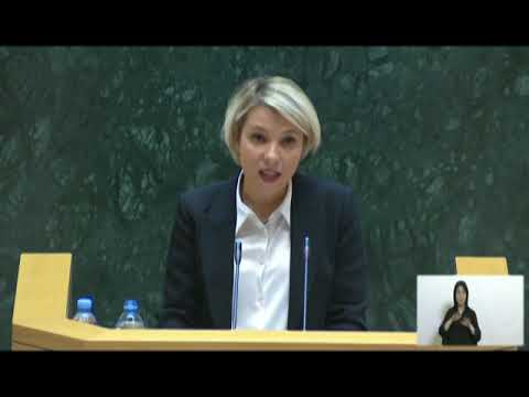 შ ს ს 2019 წელს შეუსრულებელი სისტემური რეკომენდაციები