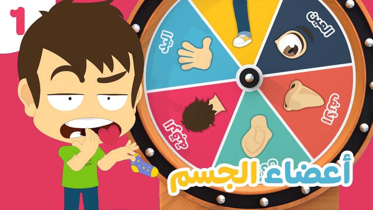 أعضاء الجسم (الجزء ١)  | تعليم أعضاء الجسم باللغة العربية للأطفال مع زكريا و زيكو