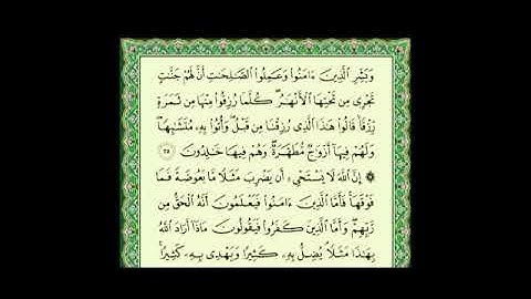 سورة البقرة من الآية 1 إلى 100 للقارئ الشيخ  ماهر المعيقلي