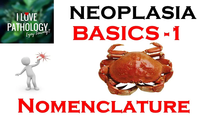 NEOPLASIA-1: BASICS: Nomenclature: Benign, Malignant, Mixed tumors, teratoma,Hamartoma, choristoma - DayDayNews