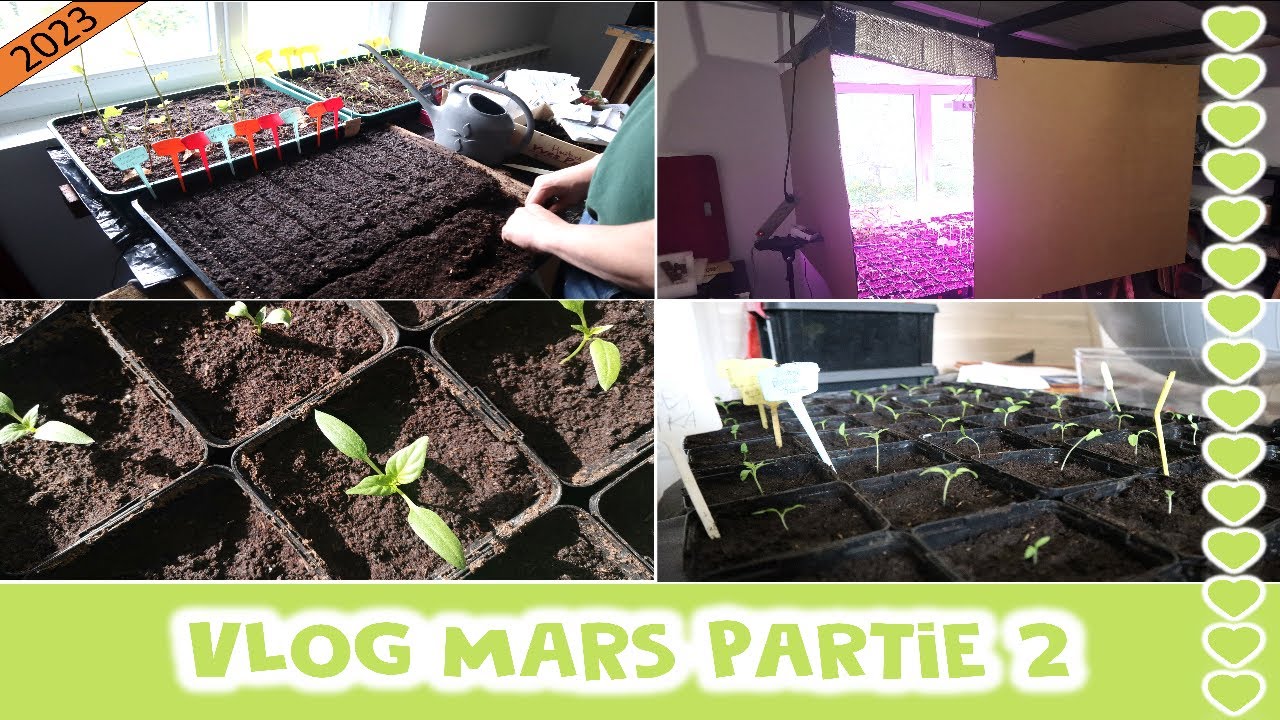 VLOG MARS 2023 partie 2