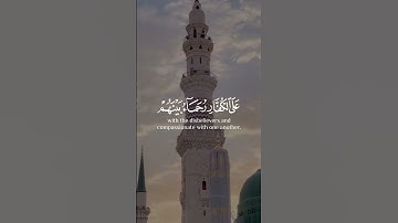 محمد رسول الله والذين معه أشداء على الكفار رحماء بينهم تراهم ركعا | سورة الفتح | القارئ ياسر الدوسري