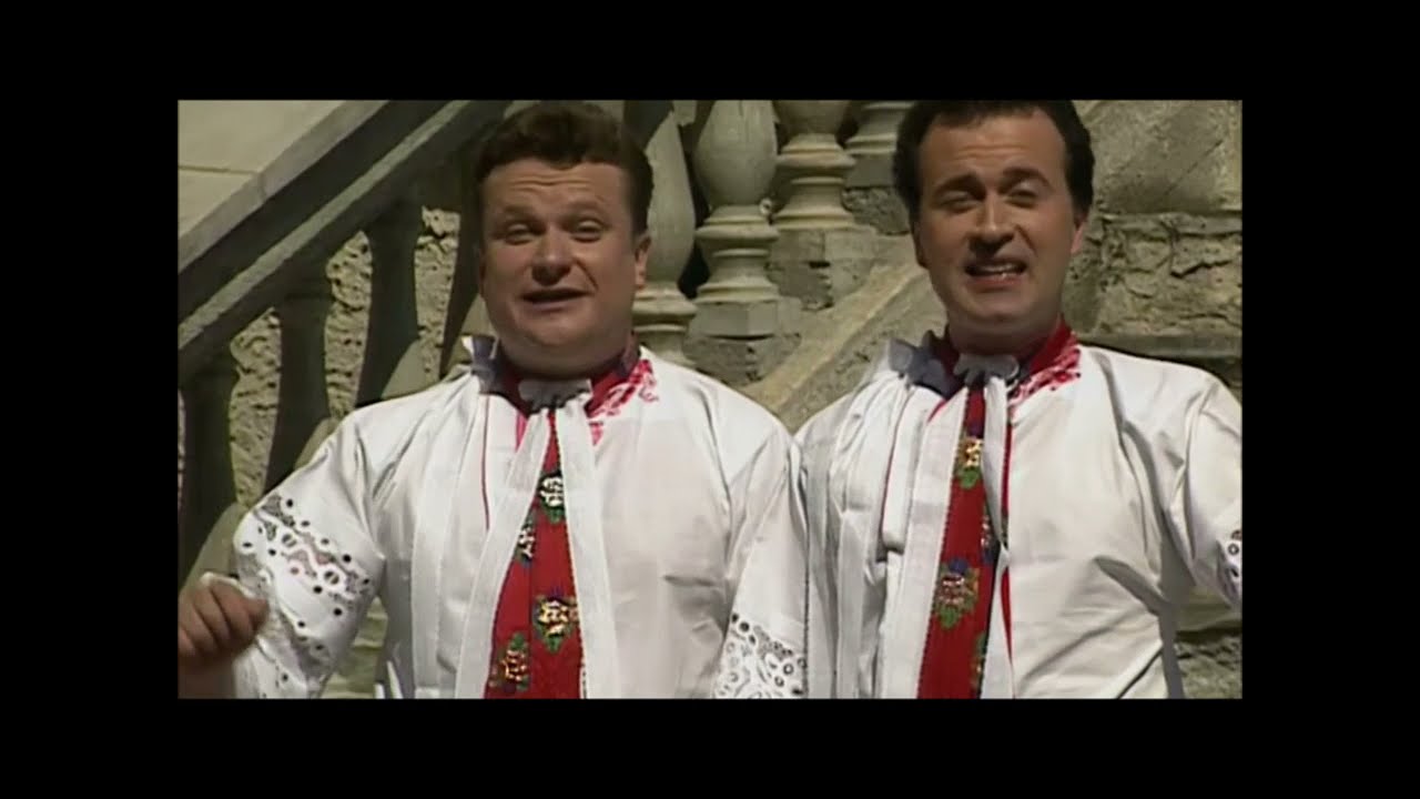 Když jsem já šel + Také sa mi dívča páčí – Moravanka (1999)