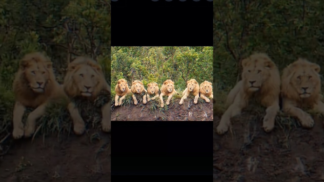 tag your 💥most dangerous squad