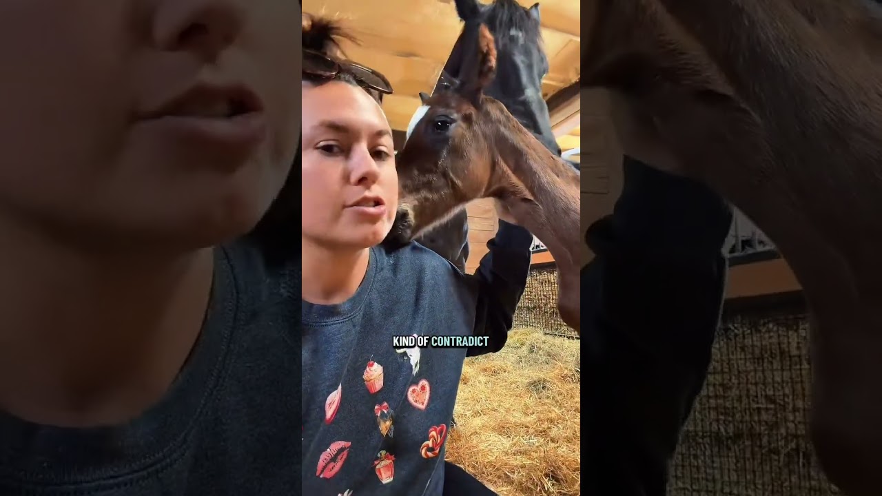 We have another baby 🩵🥺